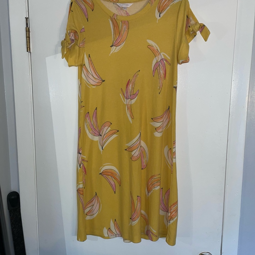 Lauren Conrad Dress NWOT